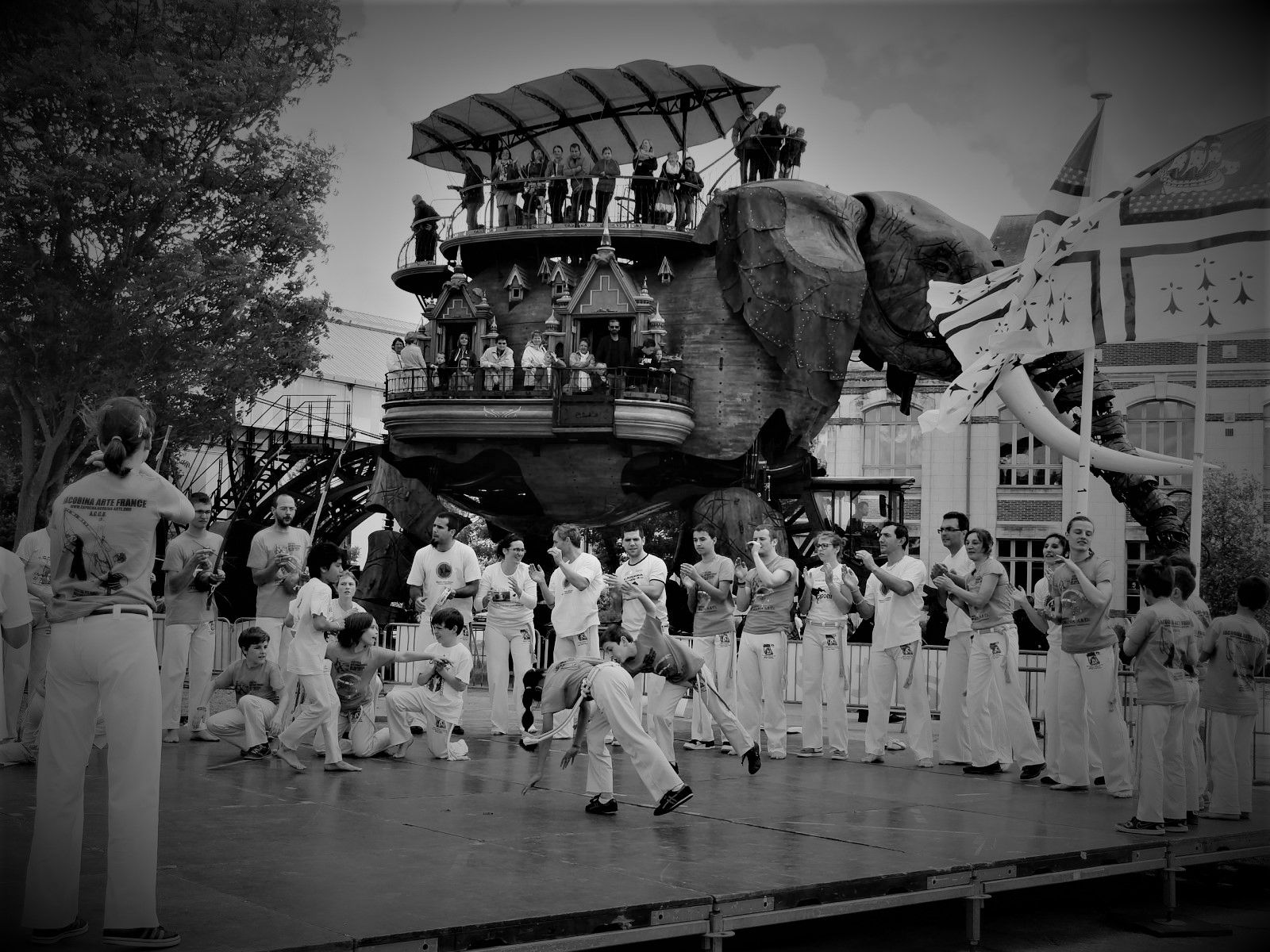 Capoeira, un art de vie Nantes