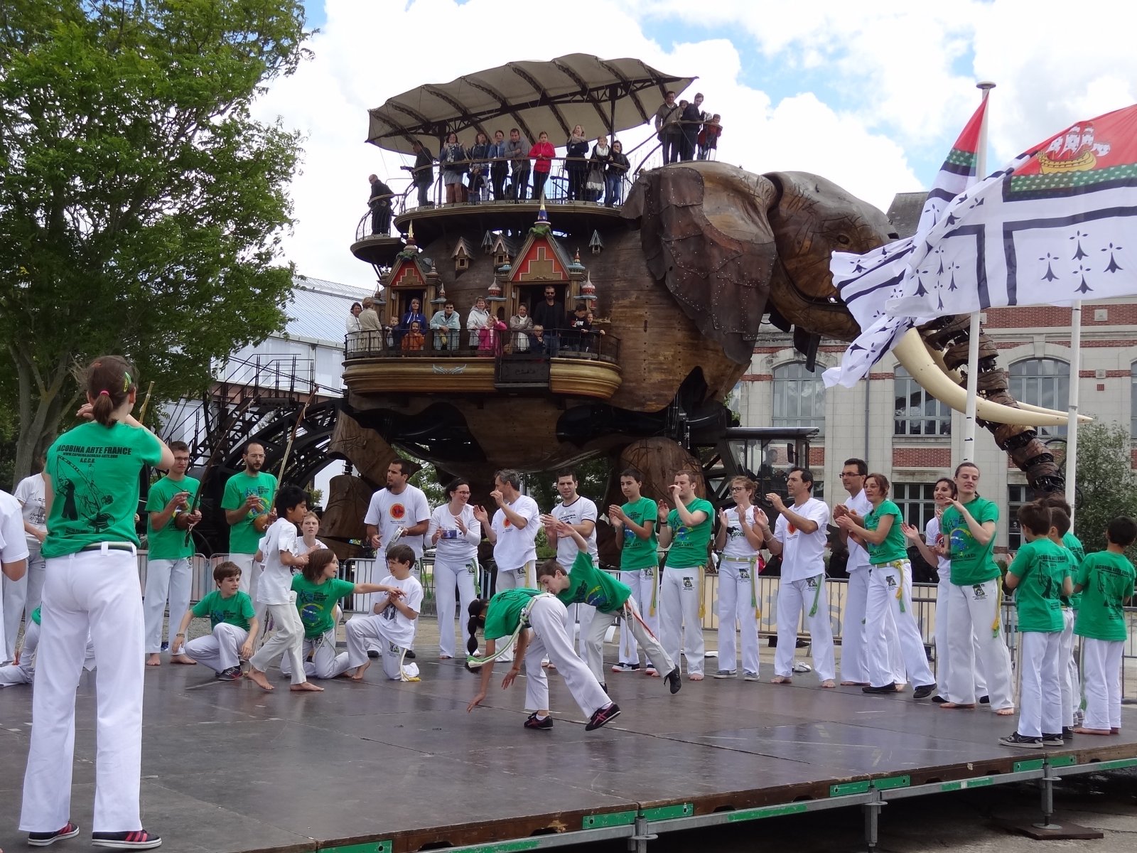 Spéctacle de Capoeira Nantes